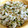 Linlinママ's cooksnap of when they made 梅としらすとみず菜ごはん.