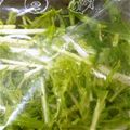 ゆかぽん1966's cooksnap of when they made 水菜♥♡簡単漬物.