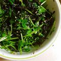 あさここなっつ's cooksnap of when they made 豆苗の海藻サラダ.