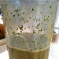 NYのキラキラ３５８'s cooksnap of when they made パクチー好きのタイ風ドレッシング.