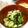 chiroxine's cooksnap of when they made 小松菜のおひたし.