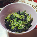 lilyneko's cooksnap of when they made わかめと豆苗のゴマ味噌和え【作りおき】.