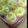 Ｋitty777's cooksnap of when they made さつまいも蒸しパン.