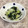 ひぃこ＊'s cooksnap of when they made ほうれん草と白菜のおひたし.