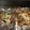たかのみこ's cooksnap of when they made ピリ辛ピザ！おつまみにも合います♪.