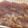 oyuking's cooksnap of when they made 炊飯器でりんごジャム.