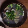まいたけのこのこ's cooksnap of when they made お食い初めに（汁椀）あさりのすまし汁.