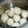 さかなの子's cooksnap of when they made サトイモの下準備『サトイモつるんっ』.