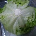 パンダ８２３'s cooksnap of when they made レタス　しゃきしゃき　保存法.