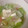 yummy?'s cooksnap of when they made 豆腐とレタスのとろみスープ.
