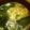 お酢好き's cooksnap of when they made ふわふわトロトロ♪卵の中華スープ.