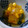 Licosama's cooksnap of when they made ✿かぼちゃととうもろこしのコンソメ煮✿.