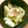 eee☆'s cooksnap of when they made 大根と鶏肉のバター煮.