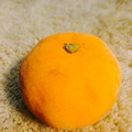 be_minami's cooksnap of when they made 冷凍みかん　給食でよく食べたね★.