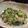 あんこ大好き♪'s cooksnap of when they made ☆おくらとじゃこのもりもり天かす和え☆.