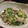 あんこ大好き♪'s cooksnap of when they made ☆おくらとじゃこのもりもり天かす和え☆.