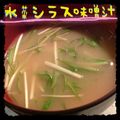 まゆちゃろ's cooksnap of when they made しらすと水菜の味噌汁.