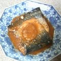 サーフブレイド's cooksnap of when they made 鯖の味噌煮.