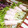 Satoco❋'s cooksnap of when they made かいわれ大根とハムのくるッとサラダ.