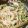 かりあん's cooksnap of when they made 簡単焼きうどーん.