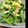 あっし店長's cooksnap of when they made 小松菜と炒り卵の和え物.