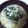 菅谷神輿愛好会's cooksnap of when they made あっさり☆たまごスープ.