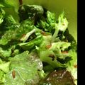 腹ペコハリネズミ's cooksnap of when they made サニーレタスとわかめの酢の物.