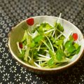 ガメコ's cooksnap of when they made かいわれ大根のナムル♪.