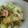 。ありんこ。's cooksnap of when they made あさりと春キャベツのパスタ.