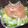 あかりもみじ's cooksnap of when they made 新玉ねぎと生ハムのサラダ.