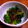 Pupinon's cooksnap of when they made ブロッコリーといかなごの釘煮のマヨ和え✿.