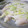 ぽんぽん堂's cooksnap of when they made ネギとショウガの豚巻き蒸し.