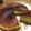 ちぃあゆみん's cooksnap of when they made HMチーズケーキ.