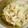 peaなっつ's cooksnap of when they made レンジで★ささみとキャベツのごま酢和え.