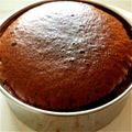 おおたんたん's cooksnap of when they made しっとりチョコスポンジケーキ.