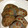 haruphoo's cooksnap of when they made ～おっ、作れる！～簡単 蓮根の挟み焼き♪.