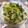 みぃのまま×3's cooksnap of when they made 青梗菜とちくわの中華塩炒め.