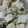 MAXA！'s cooksnap of when they made ★簡単★はんぺんとほうれん草のツナサラダ.