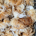 クック11HLNQ☆'s cooksnap of when they made 結びしらたきの甘辛炒め.