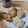 canoeyan's cooksnap of when they made 簡単！サクサク！HMスコーン.