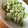 ☆あさ's cooksnap of when they made 料亭風に♪　そら豆の茹で方.