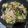 mintan's cooksnap of when they made 豚こま切れ肉･なす･ピーマンの味噌炒め.