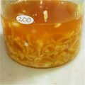 youjix252's cooksnap of when they made ねぎ塩だれ.