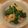 七氷♪'s cooksnap of when they made 菜の花と海老の塩麹和え.