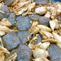 マスカル12's cooksnap of when they made ヘルシー★こんにゃくとささ身の甘辛炒.