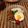 chopima's cooksnap of when they made ガイパッバイカパオ■ガパオ飯☆鶏肉バジル.