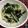 まゆまわた's cooksnap of when they made 簡単！塩昆布で法蓮草とえのきの和え物.