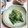 ＴＯＭＯＷＡＴ's cooksnap of when they made 水菜とほうれん草のゴマ和え.