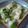 はるなちゅらる's cooksnap of when they made 絶品！！塩麹アボカドのチーズトースト.