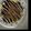 adari13's cooksnap of when they made 焼きそばインお好み焼き.